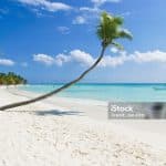  Punta Cana: Saona Island Cruise with Lunch & Open Bar