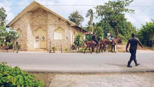 Punta Cana: Samana Full Day Trip Whale Cascada El Limon