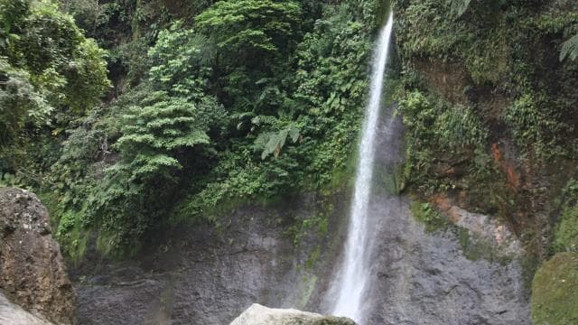 From San José: Pacuare River White Water Rafting Day Trip