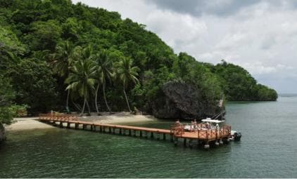 Samana: Private Los Haitises Expedition Caves & Mangroves