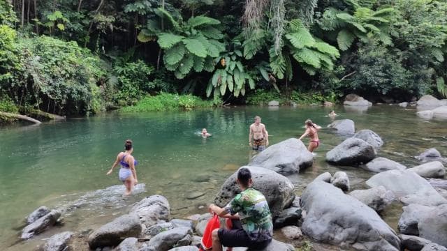El Yunque Forest: Rainforest Nature Walk at Night Tour