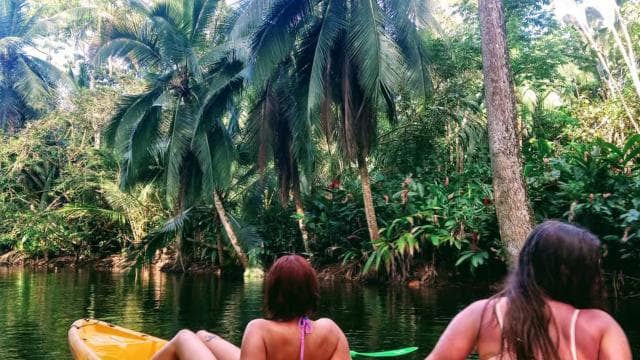 Punta Uva: Kayak and Sloth Watching Tour