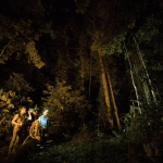 Los Haitises Night Hike In The Rainforest