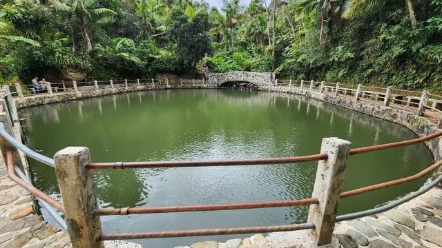 Private & Customizable El Yunque Rainforest Adventure