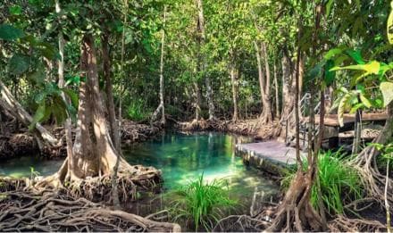 Santo Domingo: Visit Samana, Los Haitises Park, and Cayo Levantado Island