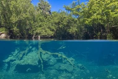 Punta Cana Cenote: Floating Sound Healing & Swim
