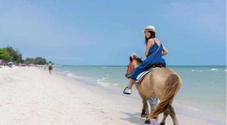 Punta Cana: Full-Day Adventure with Lunch & Drinks