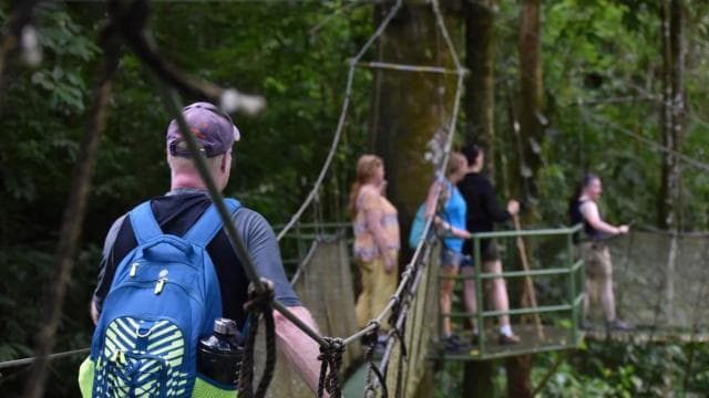 Manuel Antonio: Hanging Bridges and Waterfall Tour