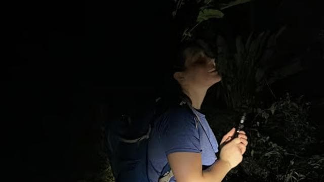 Manuel Antonio National Park Night Tour