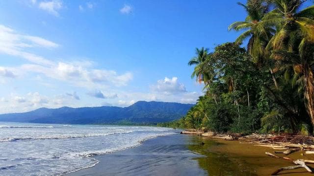 Marino Ballena National Park: Whale Watching In Uvita