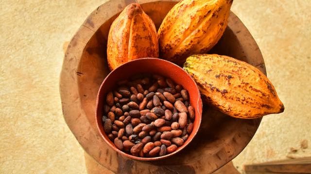 Jaco Beach: 2-Hour Chocolate Experience Tour