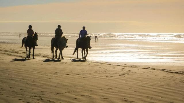Uvita: Horseback Riding Costa Rica