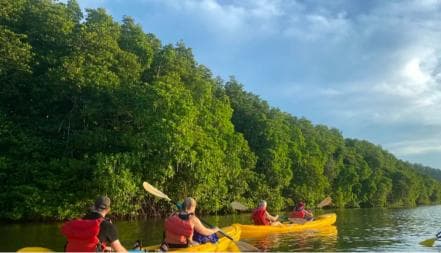Los Haitises: Sunrise or Sunset wildlife focus