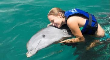 Punta Cana Dolphin Adventure: 40-Minute Interaction