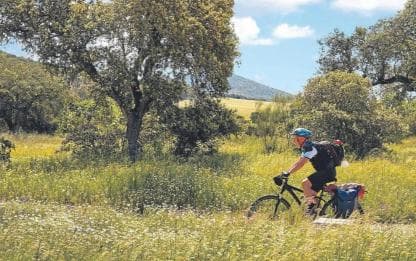 Jarabacoa: Mountain Bike Tour with Scenic Views