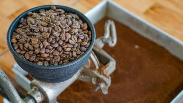 La Fortuna: North Fields Coffee and Chocolate Tour