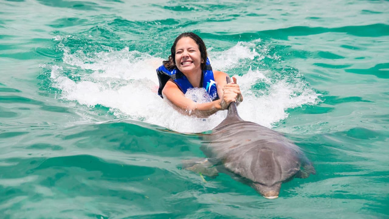 Punta Cana: Dolphin Discovery Swims and Encounters