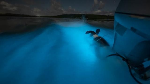 Luquillo: 30-Minute Flyboard Experience