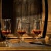 Ron Barcerló: Rum Factory Tour with Rum Tastings