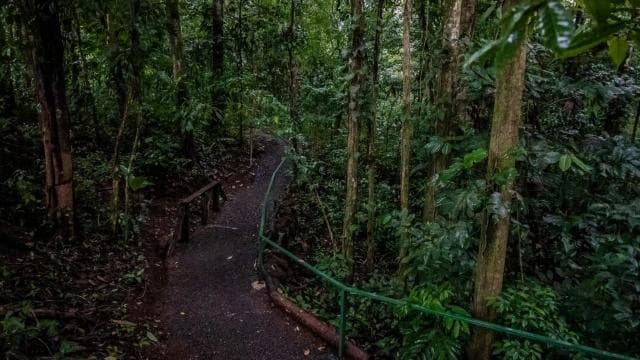 El Tanque: GreenEcoPark Guided Hike with Seasonal Fruits