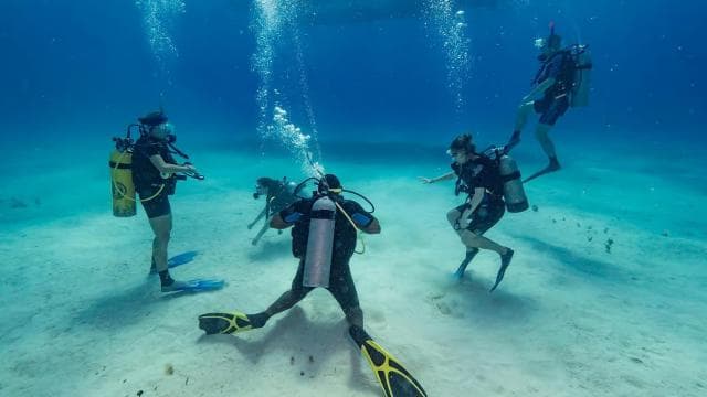 Punta Cana: Scuba Diving Catalina Island Cruise with Lunch