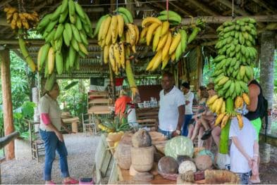 Punta Cana to Los Haitises, Caño Hondo & Montaña Redonda Day Trip – Adults $125, Kids $95