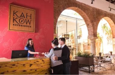 Santo Domingo: Chocolate Tour + Optional Workshops
