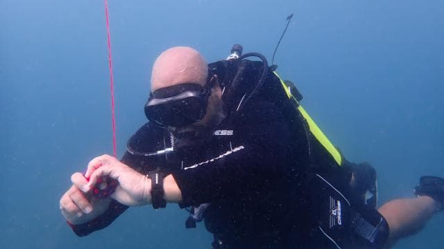 Golfito, Costa Rica: PADI Open Water Diver Certification