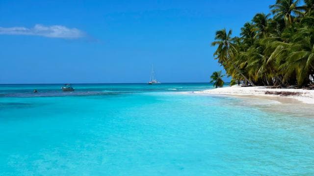 Punta Cana: Samaná Day Tour with Horse Ride and Cruise