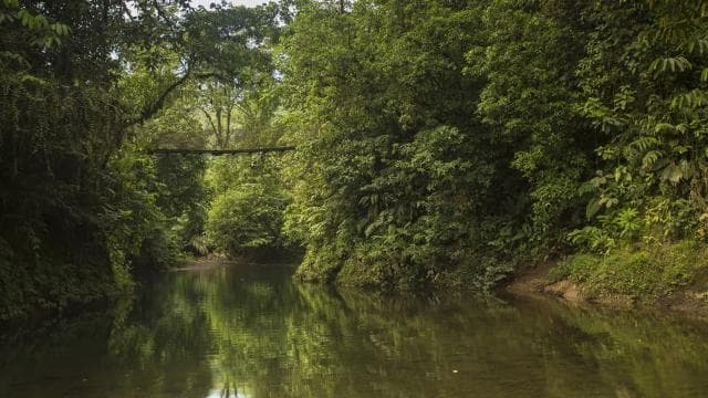 San Jose: San Luis Rainforest and Zipline Tour with Lunch