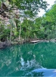 2in1: Los Haitises National Park + Yanigua Waterfall-SPA