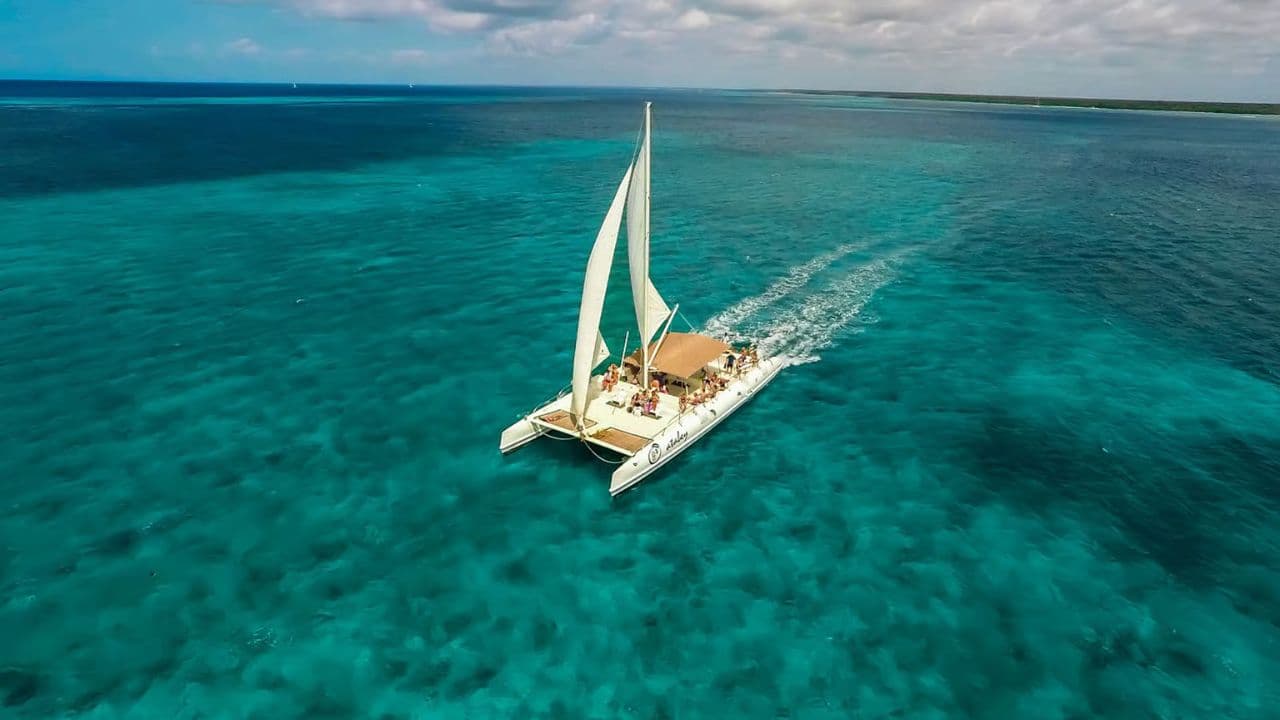 Saona Island: Incredible day With buffet from Punta Cana