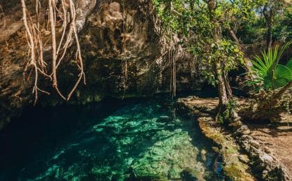 Private: Bayahibe: Jungle Walk and Cenote Snorkeling Tour