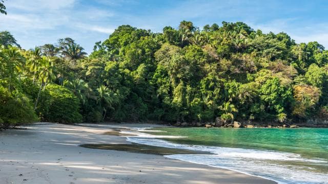 San Jose: Manuel Antonio National Park Day Trip with Lunch