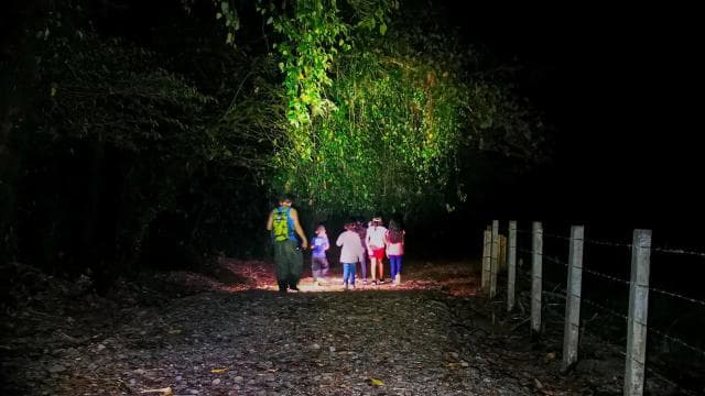 Fortuna: Arenal Volcano Rainforest Night Tour (Private)