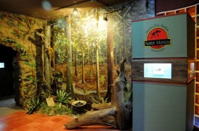 Puerto Plata Tour: History, Culture and Cable Car Ride