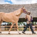 Punta Cana: Xploration Animal Park Bus Tour with Encounters