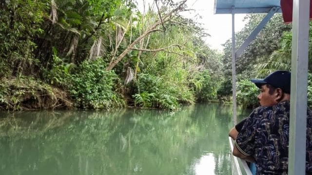 Manuel Antonio : Mangrove boat tour to see animals