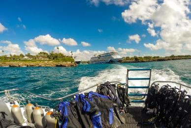 La Romana: Scuba Diving in Catalina Island