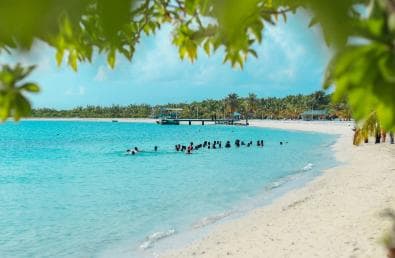 Private: Full-Day Catalina Reef & Beach Escape by Catamaran