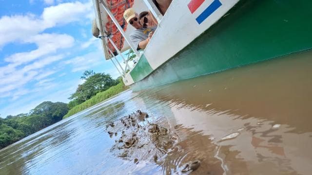 Tarcoles River: Jungle Crocodile Safari & Bird Watching Tour