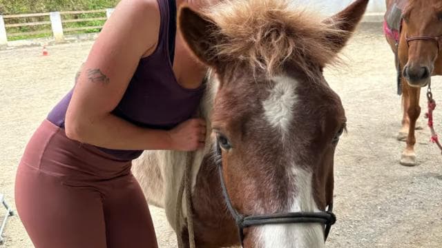Finca Soley: Liberty Workshop and coaching with Horses