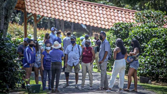Alajuela: Coffee Plantation Guided Tour with Tasting