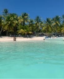 From Punta Cana: Saona Island Boat Trip with Buffet