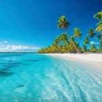 Punta Cana: Catalina Island Scuba Diving Day Trip