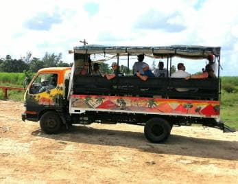 Buggy sunset - Full day - Small group