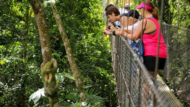 La Fortuna: Hanging Bridges, Arenal Volcano, and Falls Tour