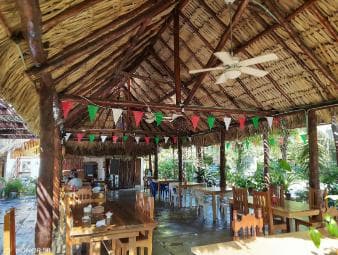 Private: Punta Cana: Buggy Tour with Cenote Swim & Macao