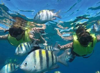 Puerto Plata: Catamaran Snorkeling Trip with Buffet