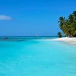 Saona Island Private +10 People